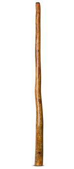 Tristan O'Meara Didgeridoo (TM295)